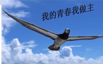 我的__我做主作文600字5篇