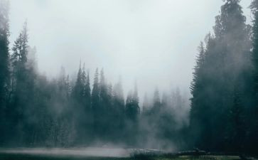 雾中班科学教案精选7篇