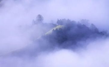 关于雾的科学教案优秀7篇