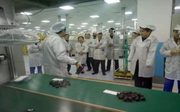 物料组工作总结5篇