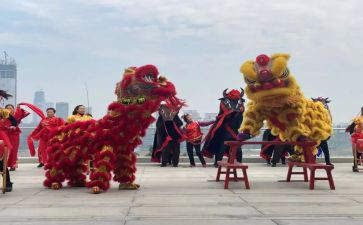 舞狮的作文8篇