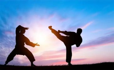 练武术作文600字6篇