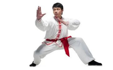 武术社团工作计划范文5篇