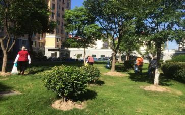 物业小区周工作计划模板6篇