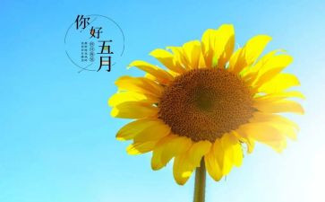 教师五月工作计划8篇