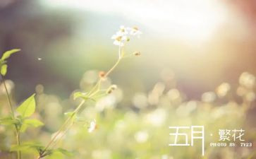 五月中班工作总结8篇