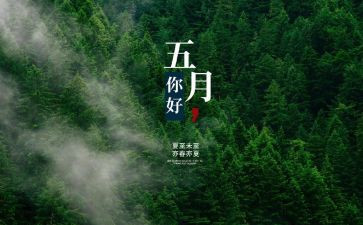 五月教学总结5篇