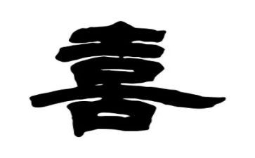 我喜的小动物作文500字5篇