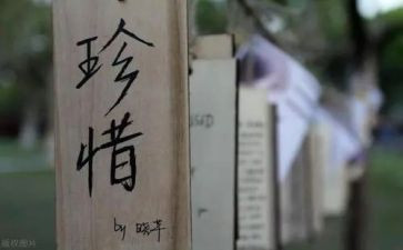 安全珍惜生命演讲稿7篇