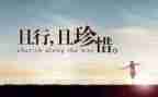 有关惜的作文800字模板7篇