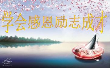 贤婆婆的事迹材料8篇
