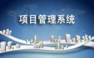 年终项目个人总结报告8篇