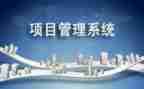 年终项目个人总结报告8篇