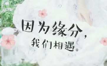 相遇的作文通用7篇
