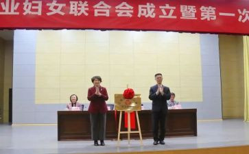 乡镇妇联年终工作总结6篇