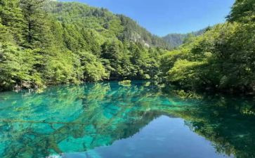 小先生制心得体会8篇