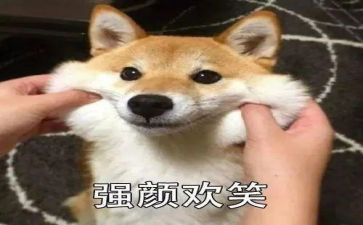 用微笑面对生活作文5篇