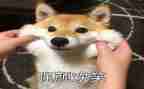 用微笑面对生活作文5篇