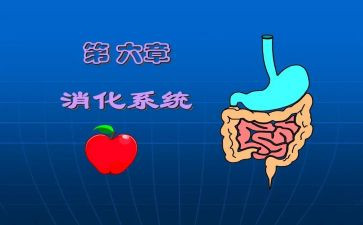 消化科年终总结范文5篇
