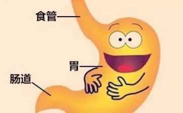 消化科个人年终总结5篇