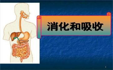 消化内科的出科自我鉴定5篇