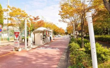 学校内部审计工作总结6篇