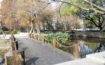 校内劳动岗心得体会5篇