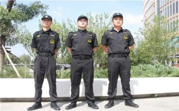 2024年小区保安个人年终总结6篇