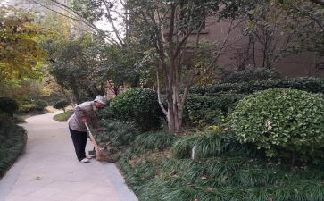 小区保洁工作总结范文8篇