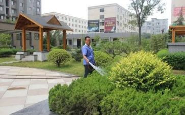 小区物业客服年终工作总结5篇