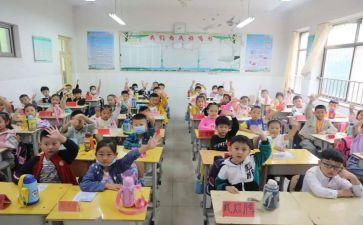 小学老师年度工作总结范文6篇