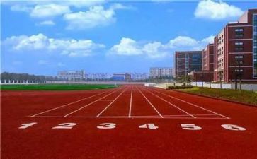 进校园活动总结8篇