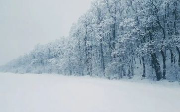 下雪时的作文精选7篇