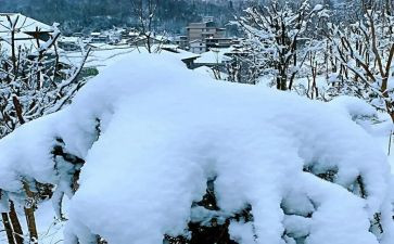 作文下雪啦300字7篇