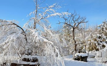 下雪时的作文模板8篇
