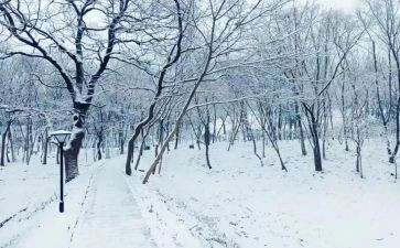 二年级下雪的作文优质8篇
