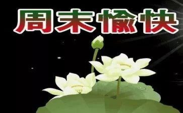 星期天,作文6篇