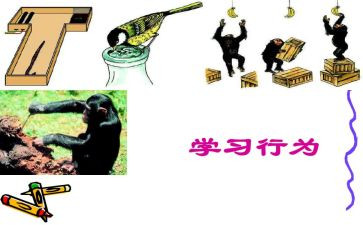 中小学违反职业道德行为心得体会模板8篇