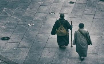 善行者的心得体会6篇