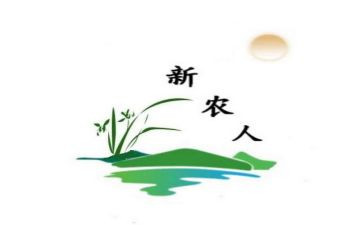 新农保工作个人总结6篇