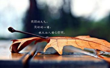 心情树教案7篇