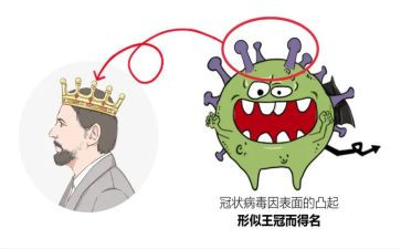 新型冠状病个人事迹8篇
