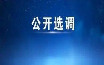 山外优选调研报告8篇