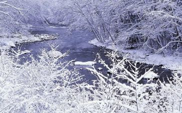 除雪工作总结优质7篇
