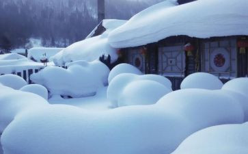 雪的演讲稿小学四年级5篇