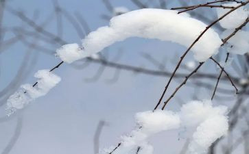 除雪工作总结参考8篇