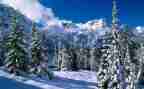 滑雪描写滑雪的作文优质7篇