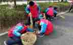 学雷锋的活动方案优秀6篇