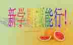这学期的个人总结精选7篇