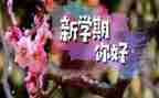 新学期的演讲稿优秀5篇